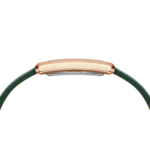 Original-Daniel-Wellington-Bound-Emerald-Crocodile-Champagne-Gold-Women-Watch-DW00100694-1.webp