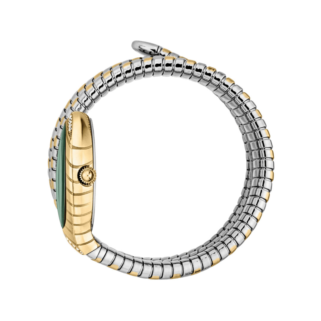 Original-Just-Cavalli-Watch-Classico-Lungo-for-Women-JC1L248M0065-23mm-2.png