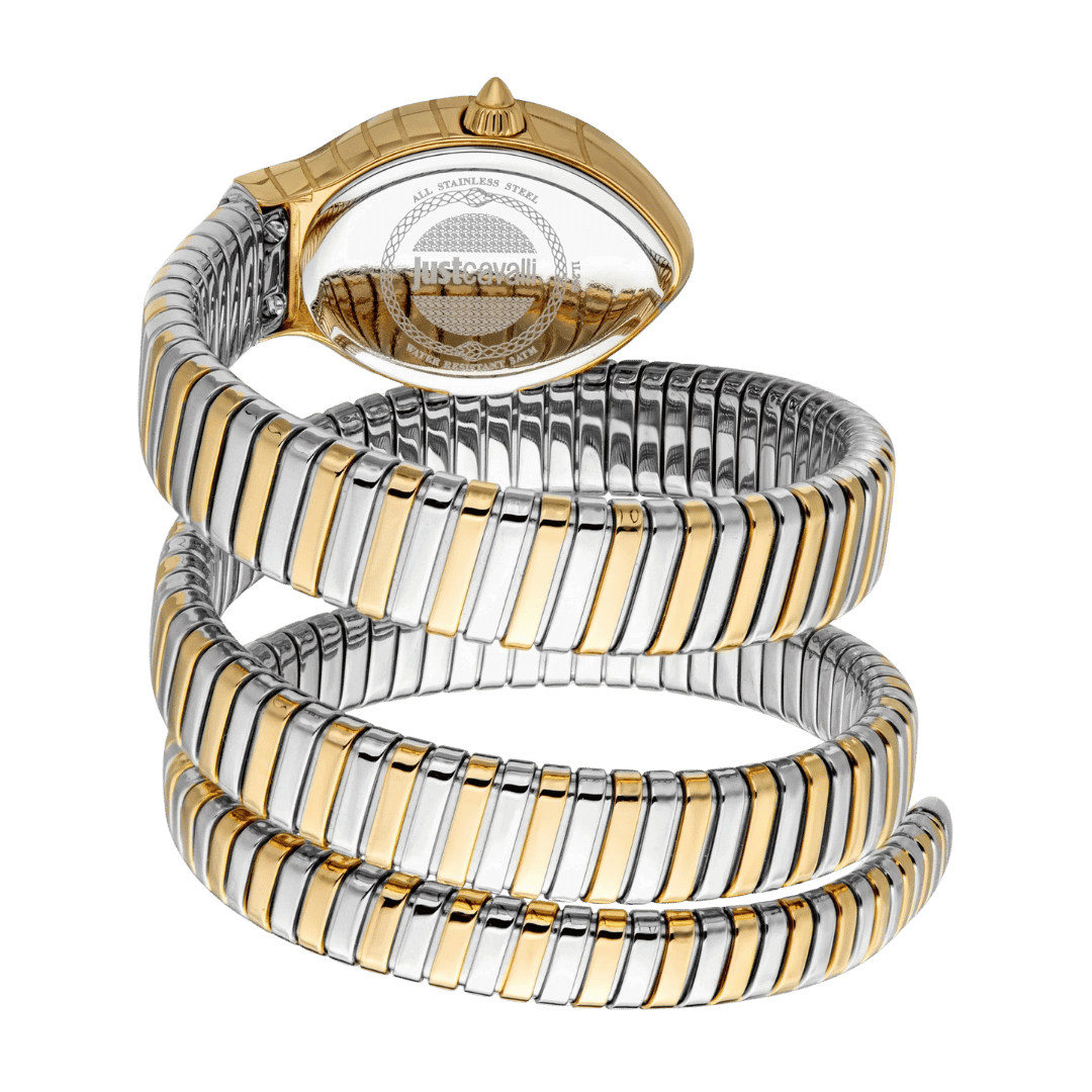 Original-Just-Cavalli-Watch-Classico-Lungo-for-Women-JC1L248M0065-23mm-3.png