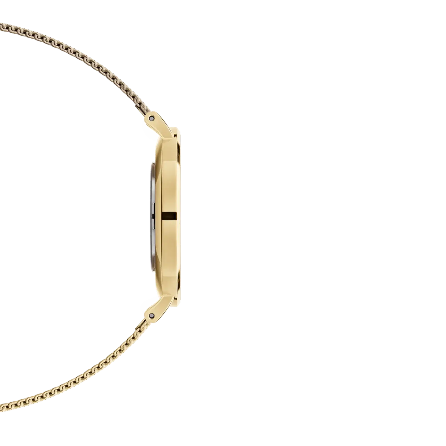Original-DANIEL-WELLINGTON-Watch-Petite-Evergold-32mm36mm-DW00100348DW00100346-3.webp
