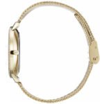 1502520-hugo-boss-watch-women-crystals-gold-dial-metal-stainless-golden-mesh-strap-quartz-battery-analog-three-hand-infinity_3c5f6d40-490c-4a46-b6ac-a8571a69c9e4.jpg