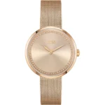 Hugo Boss Praise Women's Watch - Model 1502548 | Elegant Rose Gold Design