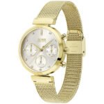 1502552-hugo-boss-watch-women-silver-dial-metal-stainless-gold-mesh-strap-quartz-battery-analog-three-hand-flawless_e5f0f550-f852-492e-a0d9-7c2e6ba71ec6.jpg