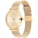 1782728-original-tommy-hilfiger-women-watch-pippa-gold-dial-mrytal-mesh-strap-in-egypt-500×500-1.jpg
