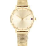 1782728-original-tommy-hilfiger-women-watch-pippa-gold-dial-mrytal-mesh-strap-in-egypt-500×500-1.jpg