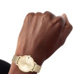 1782728-original-tommy-hilfiger-women-watch-pippa-gold-dial-mrytal-mesh-strap-in-egypt-500×500-1.jpg