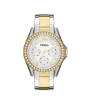 Original Fossil Watch For Women ES3204